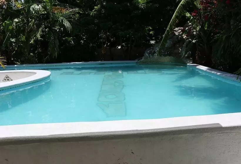 پانسیون Little Savoy Guest House