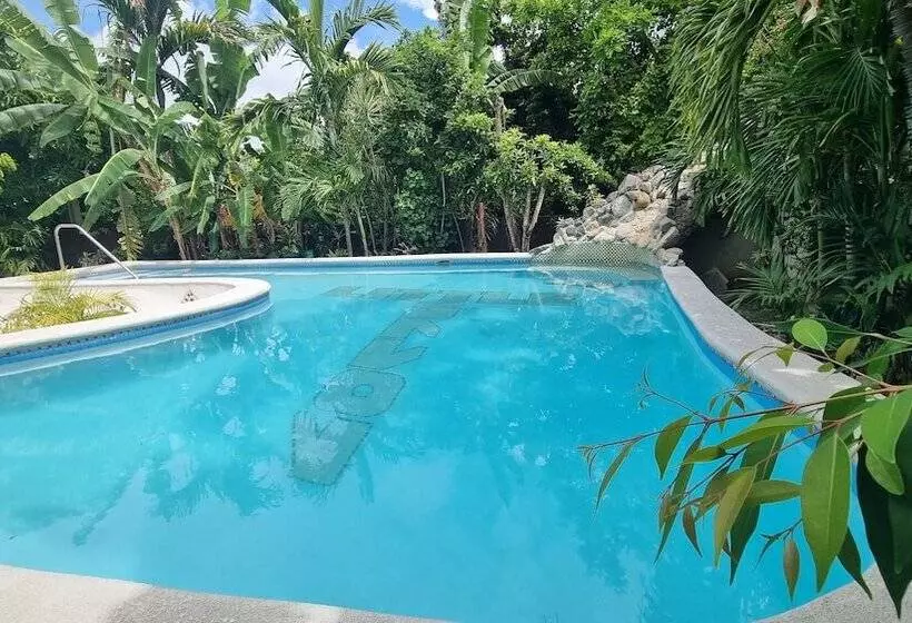 پانسیون Little Savoy Guest House