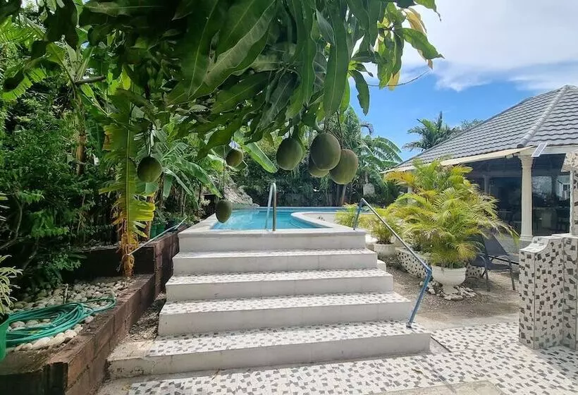 پانسیون Little Savoy Guest House