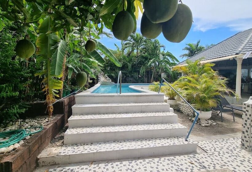 پانسیون Little Savoy Guest House