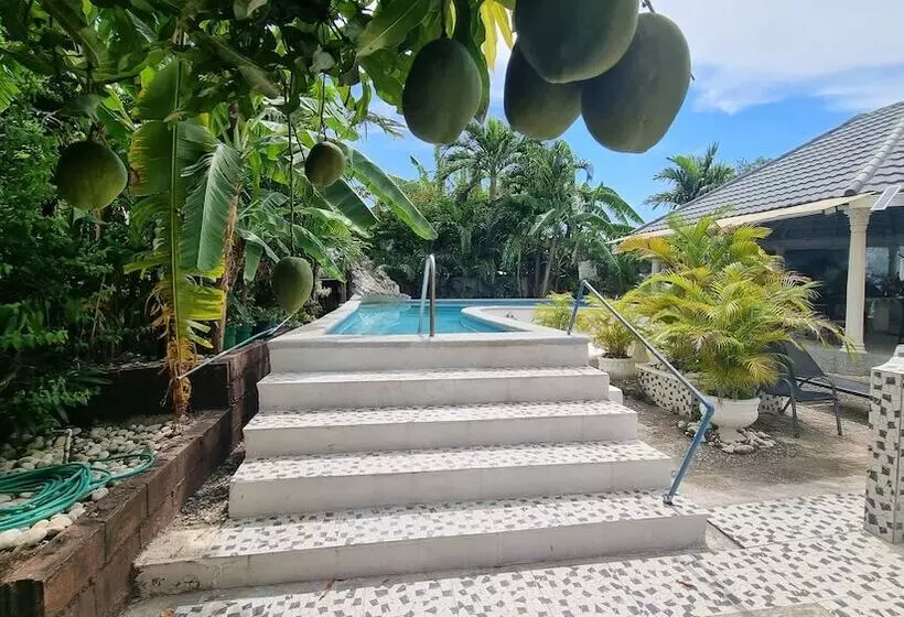 پانسیون Little Savoy Guest House