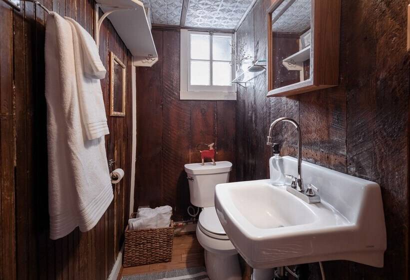 Ski In/ski Out Miners Cabin