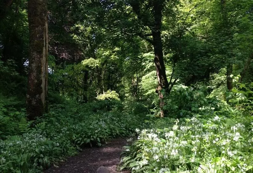 Stunning Premium Yurt In Kelburn Estate Near Largs