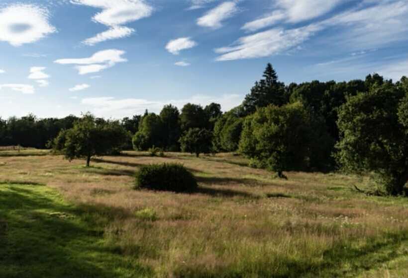 ベッドアンドブレックファースト Toftahult Bed&breakfast