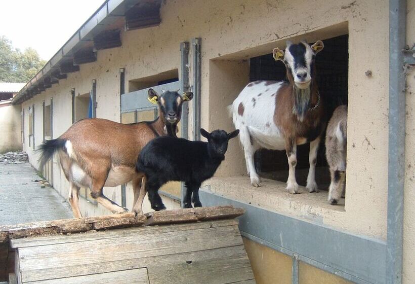 Farmhouse In Monte S. Maria Tiberina With Stables