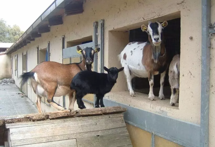 Farmhouse In Monte S. Maria Tiberina With Stables