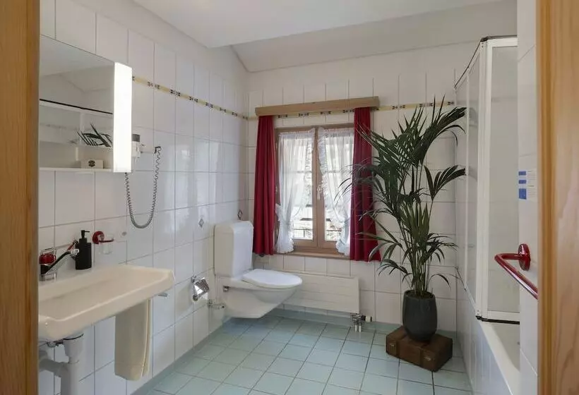 Hotelli De Commune Rougemont