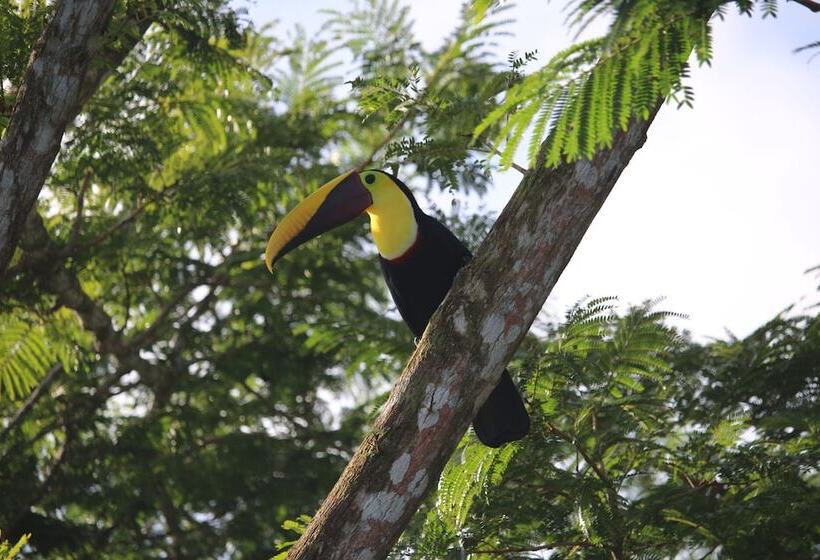 Отель El Paraiso Azul