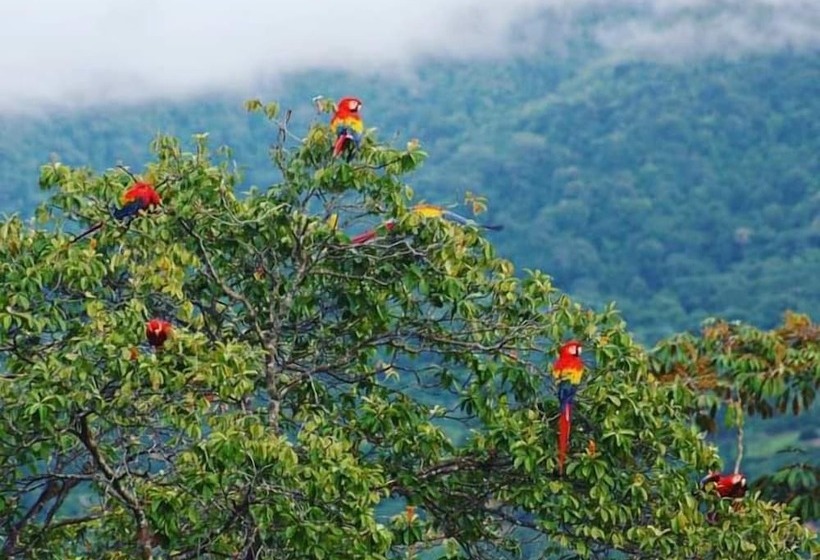 Отель El Paraiso Azul