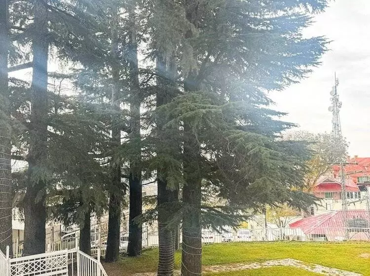 هتل Metropole