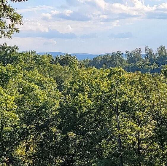 ホテル Windstorm Cabin