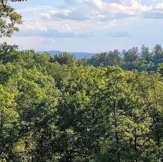 Hotelli Windstorm Cabin