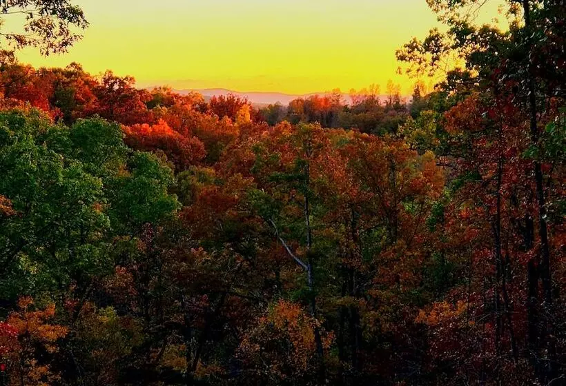 Hotelli Windstorm Cabin