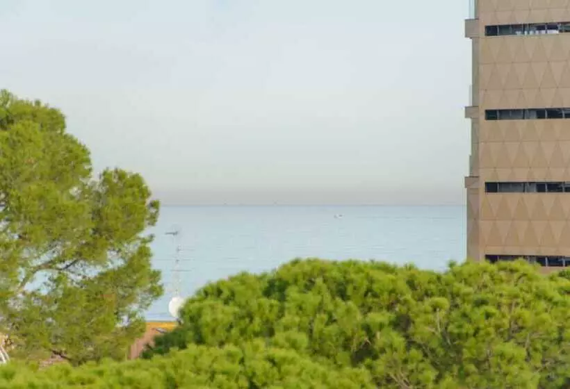 Palace Hotel Domus Mea Riccione
