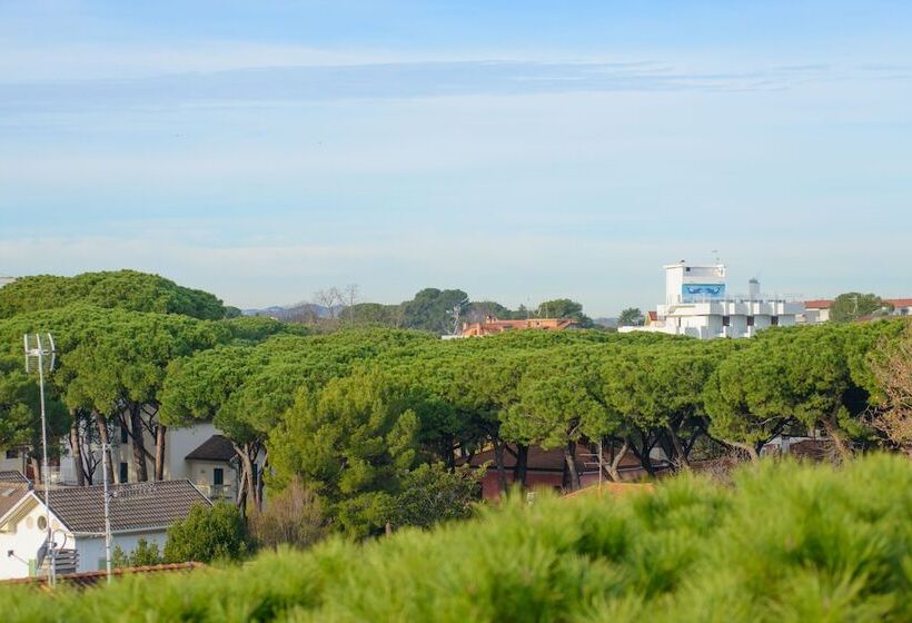 Palace Hotel Domus Mea Riccione