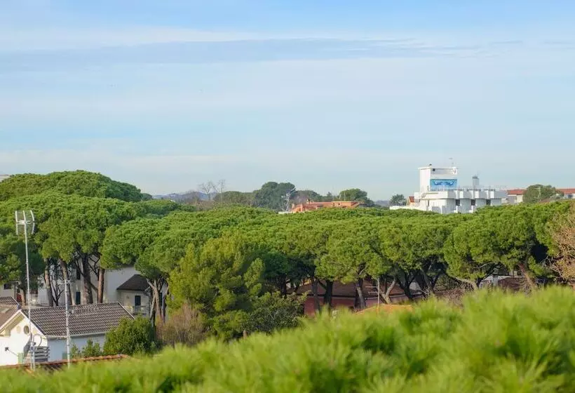 Palace Hotel Domus Mea Riccione