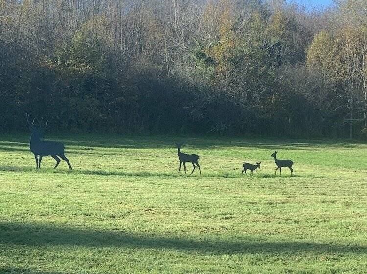 פנסיון La Biche Au Bois
