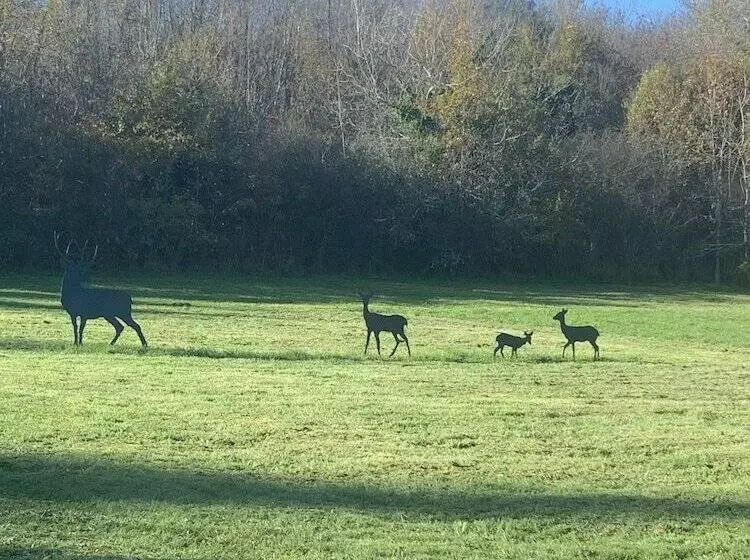 Majatalo La Biche Au Bois