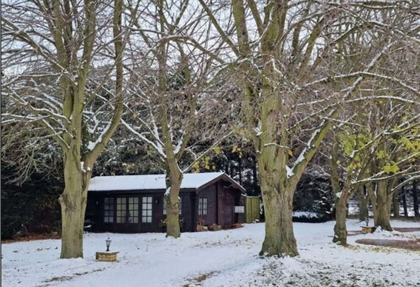 Reed By Paymán Club