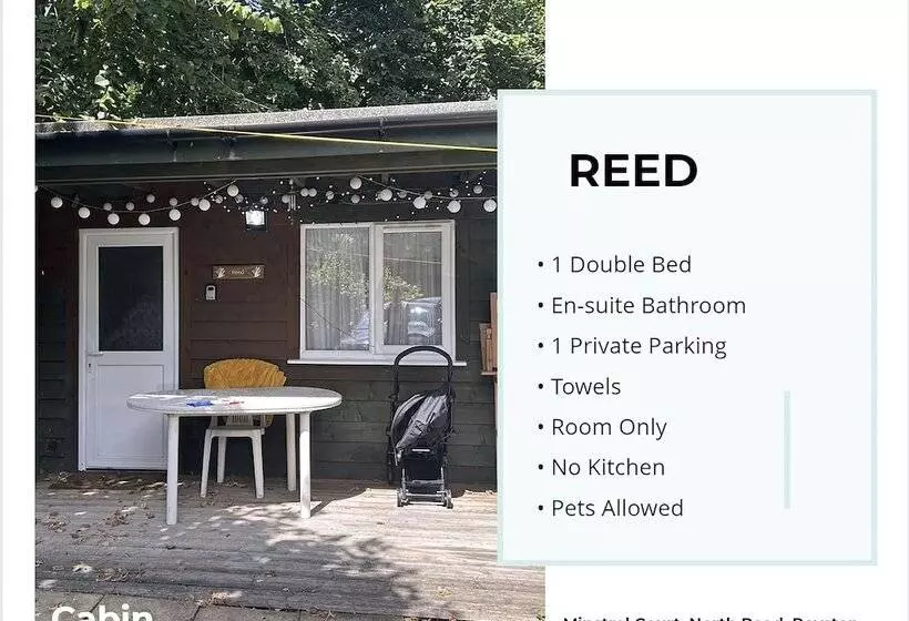 Reed By Paymán Club