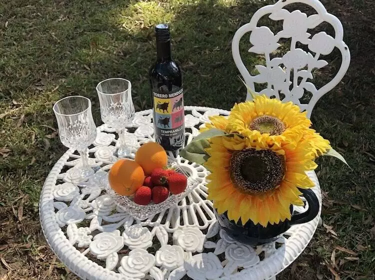 Aamiaismajoitus (B&B) The Steamboat Inn