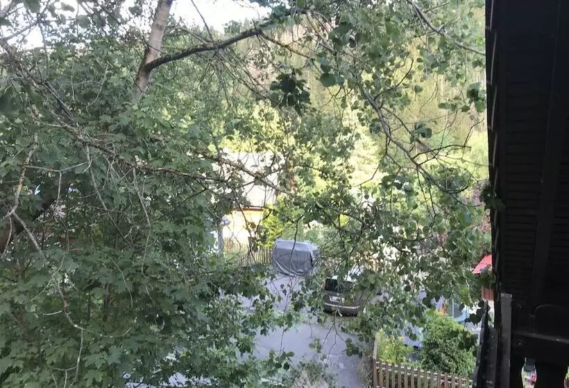Haus Silberhütte Für Mensch Und Hund