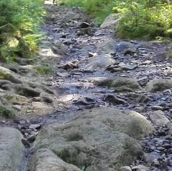 Haus Silberhütte Für Mensch Und Hund