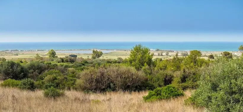 簡易ホテル Masseria Baroni Di Montesardo