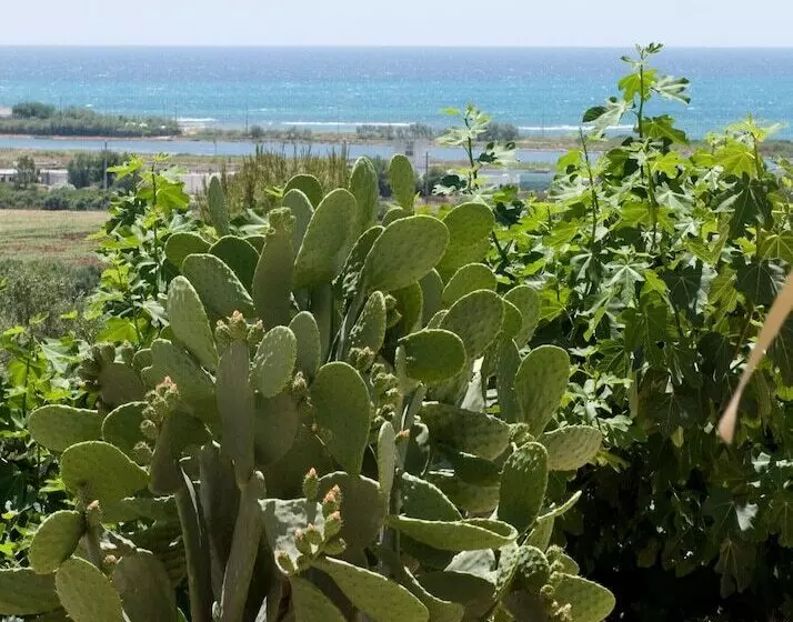 簡易ホテル Masseria Baroni Di Montesardo