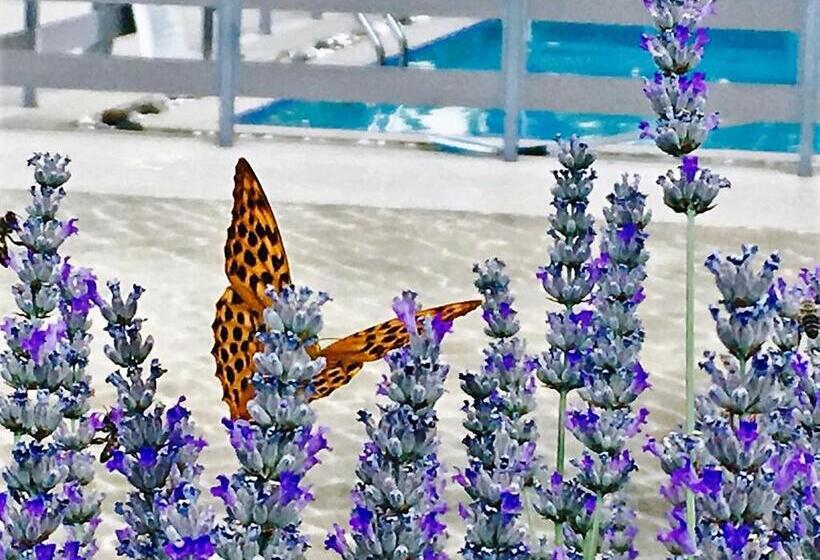 Hotel Prytaneio Design