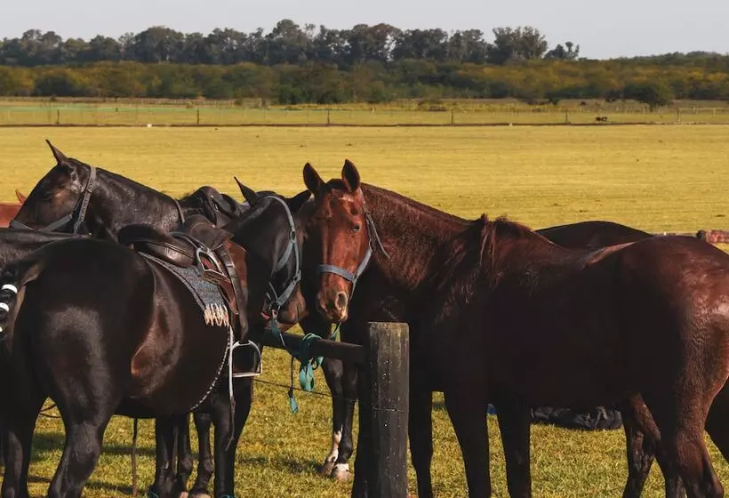 Hotelli Terranova Glamping