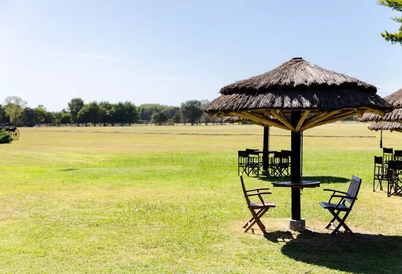 Hotelli Terranova Glamping