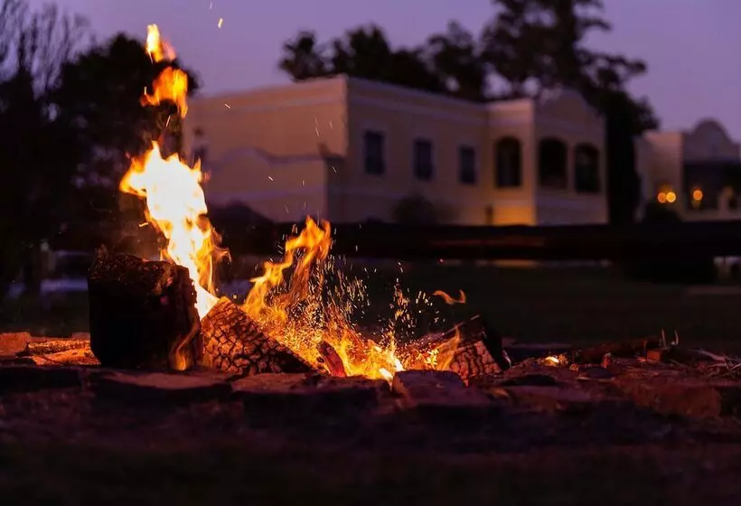 Hotelli Terranova Glamping