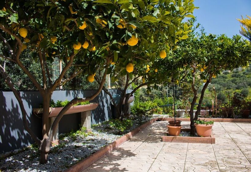 レジデンス Aelia Home