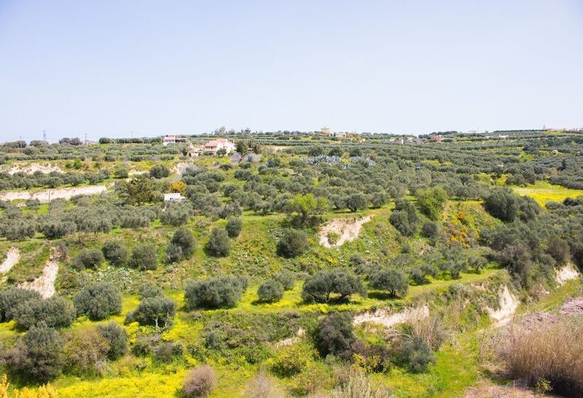 レジデンス Aelia Home