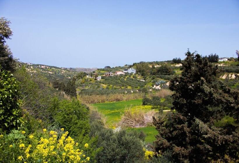 レジデンス Aelia Home