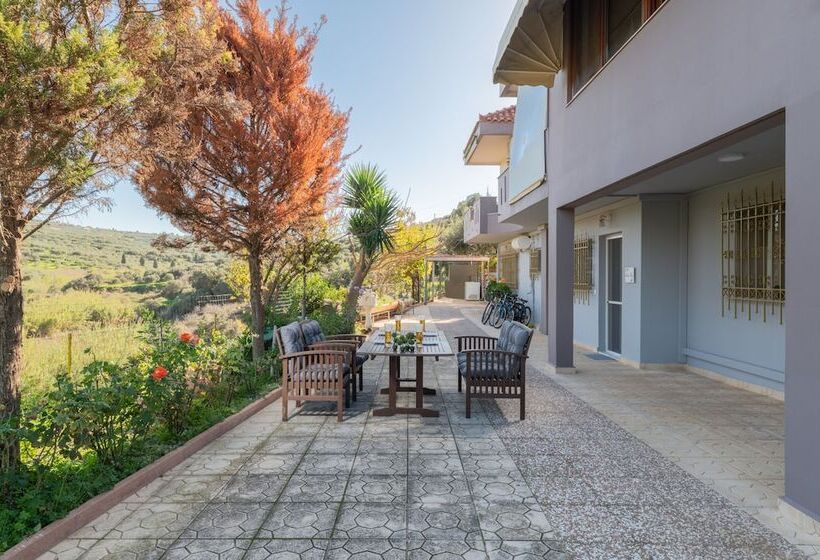 レジデンス Aelia Home