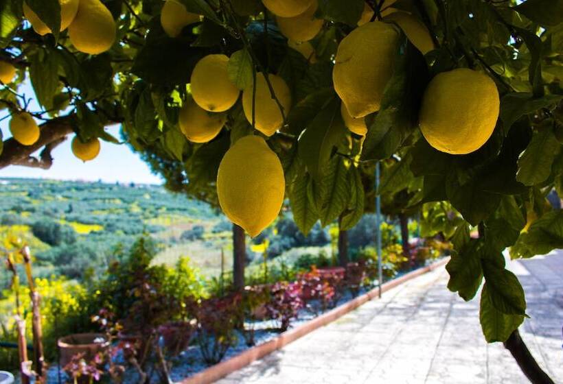 レジデンス Aelia Home