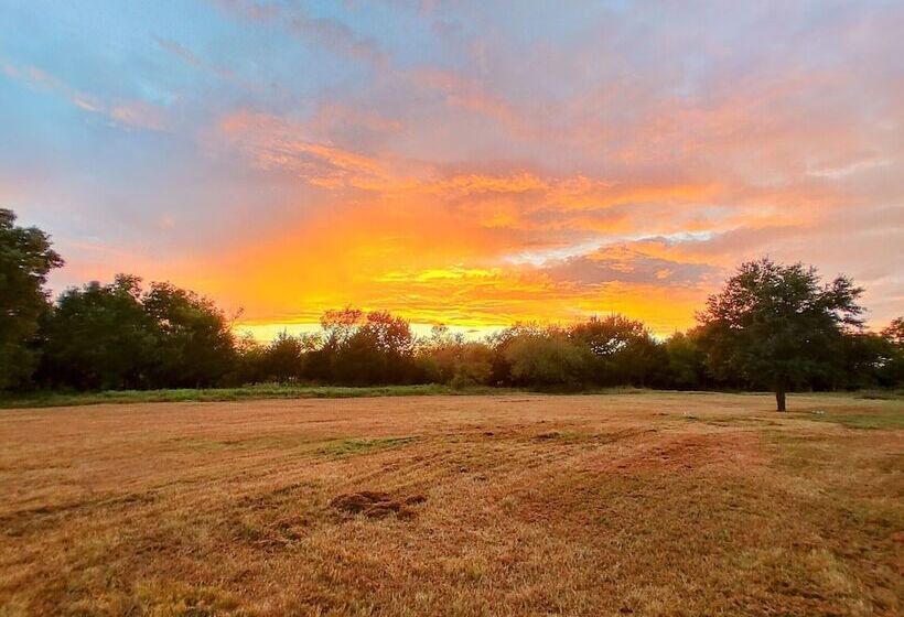 צימר The Yellow Rose Of Texas