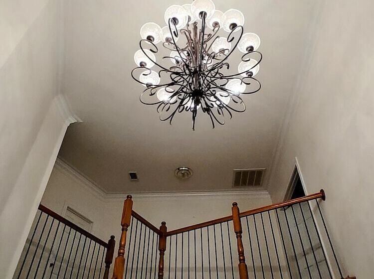 צימר The Yellow Rose Of Texas