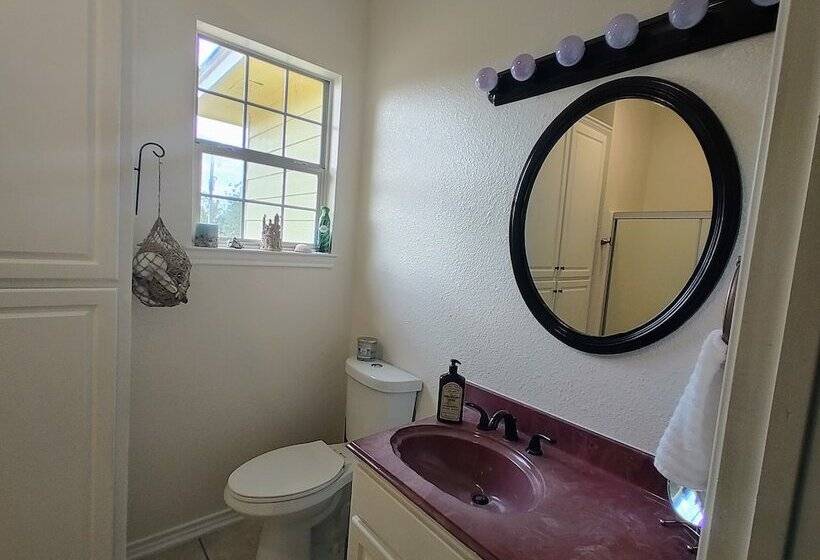 צימר The Yellow Rose Of Texas