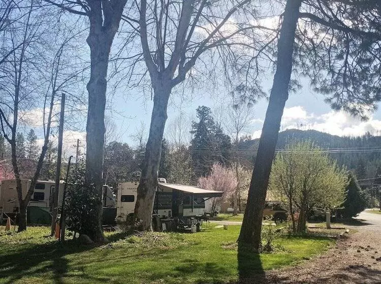 Bigfoot Rv & Cabins Park