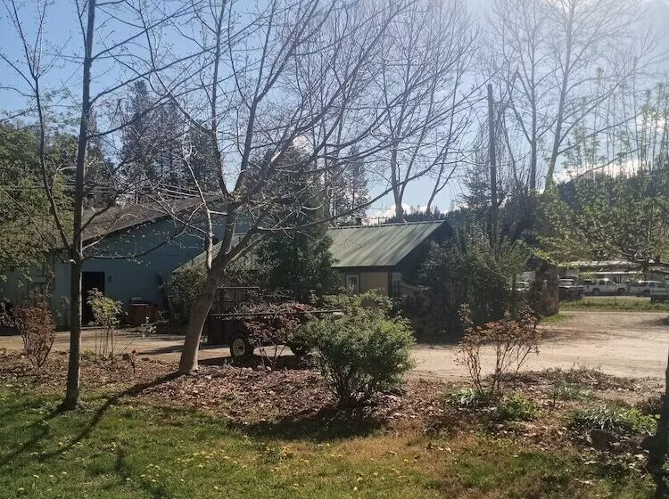 Bigfoot Rv & Cabins Park