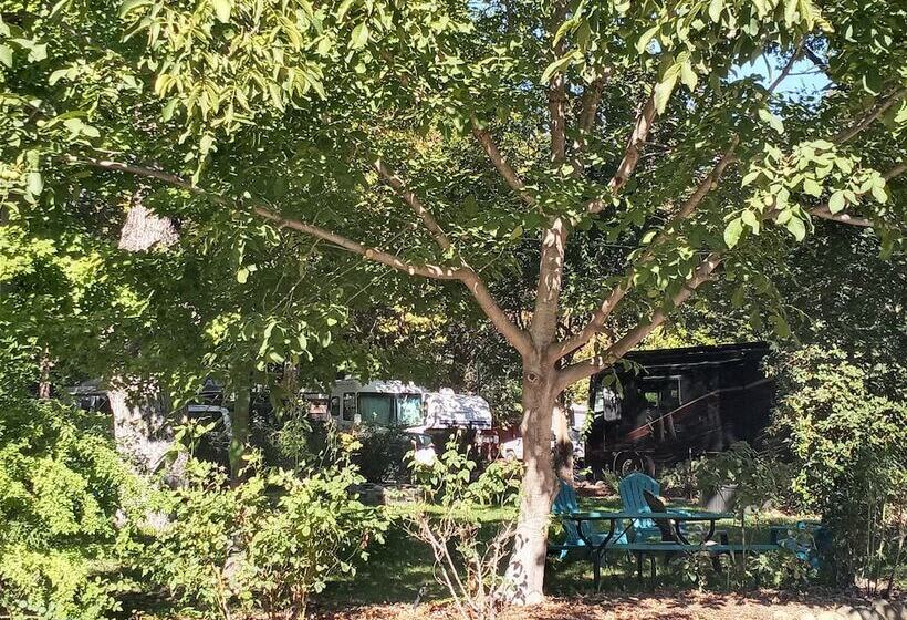 Bigfoot Rv & Cabins Park