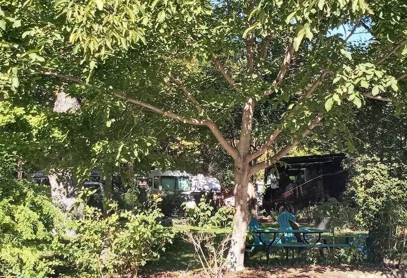 Bigfoot Rv & Cabins Park