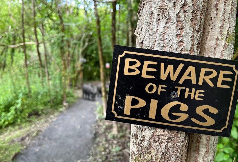 Hotel Sunrise Dome Tent