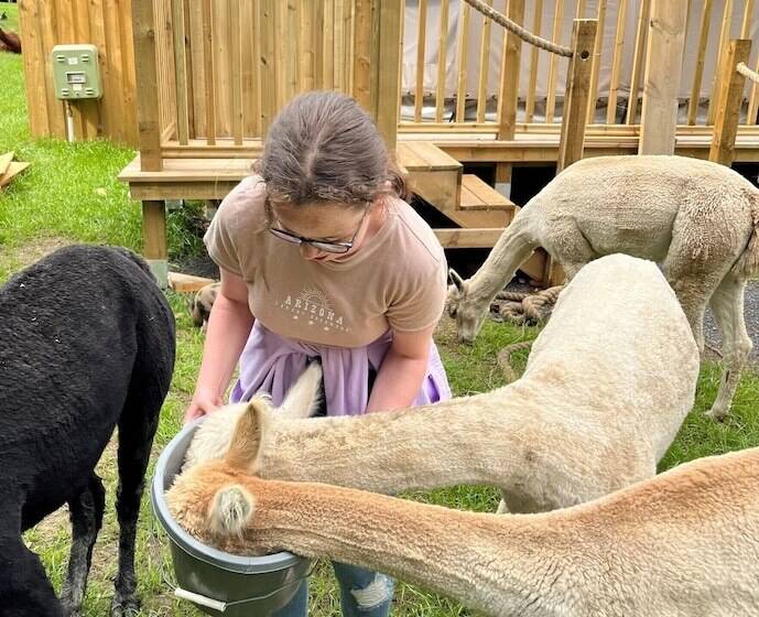 Hotel Sunrise Dome Tent