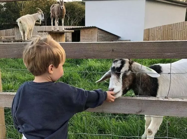 Hotelli Sunrise Dome Tent