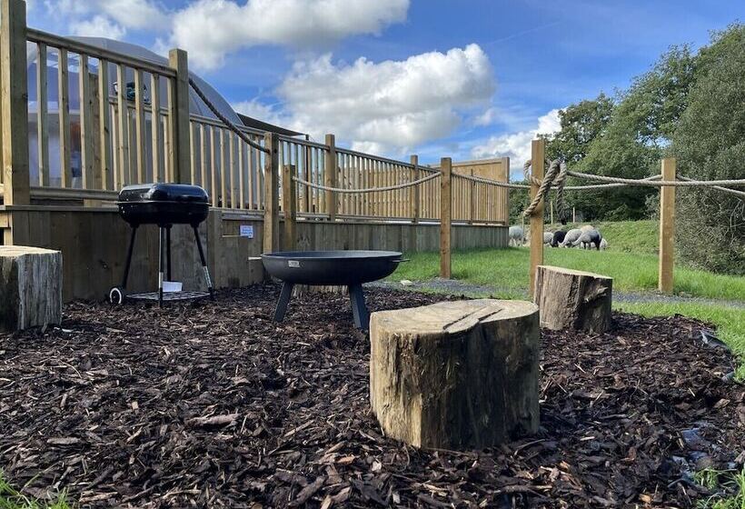 Hotel Sunrise Dome Tent