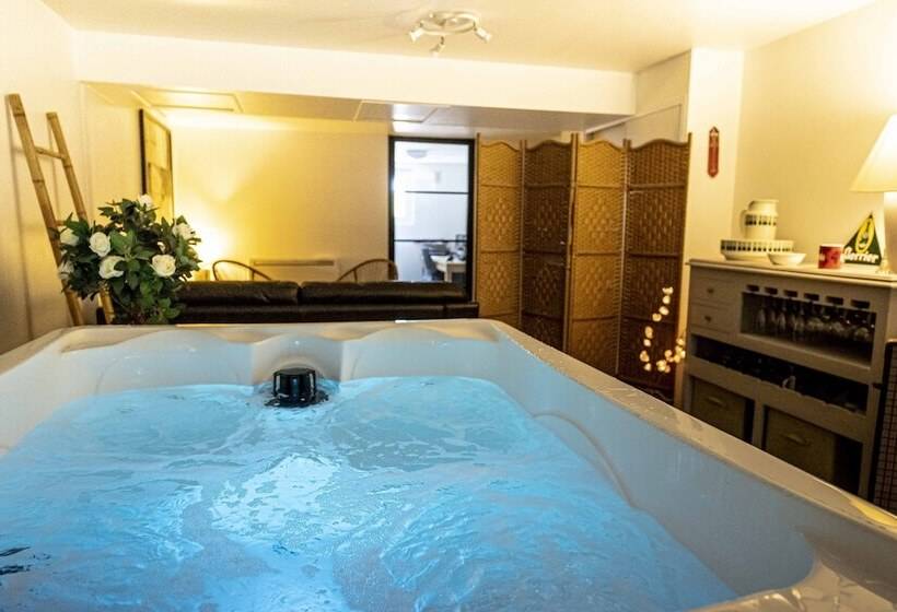 פנסיון Chambres D Hôtes Au Chat Verrier, Espace Bien être